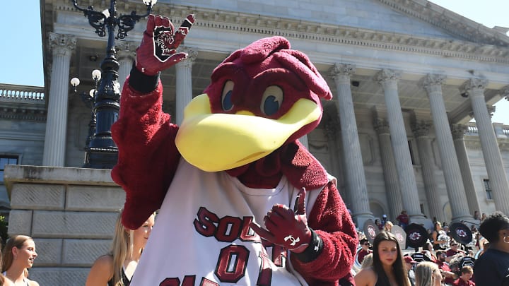 South Carolina Gamecocks mascot Cocky