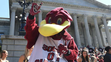 South Carolina Gamecocks mascot Cocky