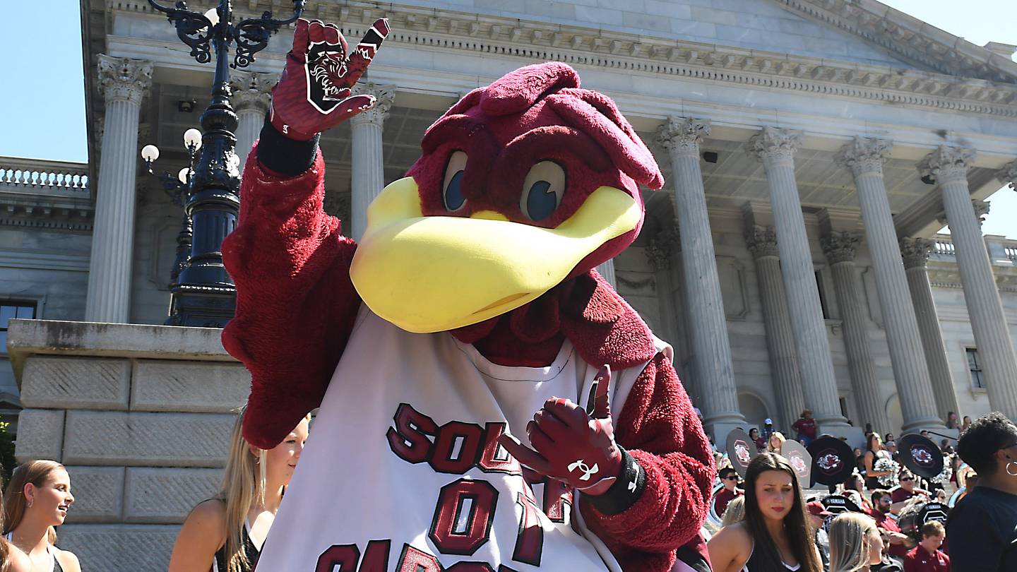 South Carolina Gamecocks News: Updates from football, basketball, baseball, and more - Vimarsana News