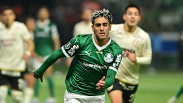 Classificado, Palmeiras segue na corrida pelo título da Libertadores