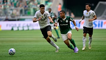 Palmeiras não jogou bem e ficou no empate contra o Botafogo