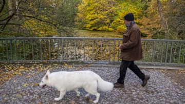 Autumn season in Berlin