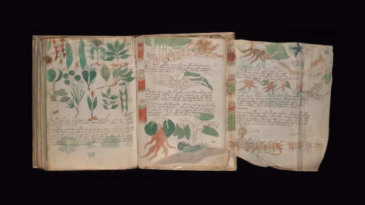 Three pages from the Voynich manuscript showing strange plants and text in an unknown language