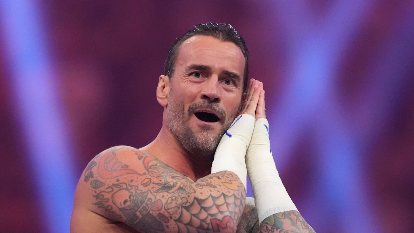 CM Punk Challenges Gunther for WWE World Heavyweight Title at SummerSlam