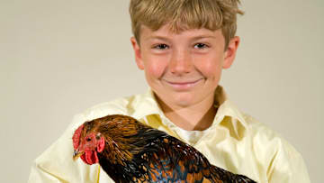 A Boy And His Chicken
