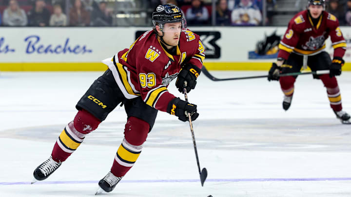 AHL: JAN 21 Chicago Wolves at Cleveland Monsters