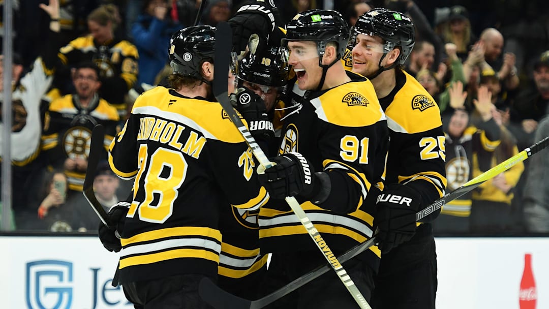 Jan 30, 2025; Boston, Massachusetts, USA; Boston Bruins defenseman Nikita Zadorov (91) reacts after a goal by center Elias Lindholm (28) during the third period against the Winnipeg Jets at TD Garden. Mandatory Credit: Bob DeChiara-Imagn Images