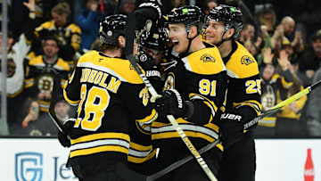 Jan 30, 2025; Boston, Massachusetts, USA; Boston Bruins defenseman Nikita Zadorov (91) reacts after a goal by center Elias Lindholm (28) during the third period against the Winnipeg Jets at TD Garden. Mandatory Credit: Bob DeChiara-Imagn Images