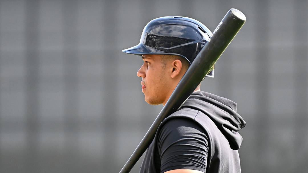 New York Yankees catcher Omar Martinez (88) New York Yankees catcher Omar Martinez (88)