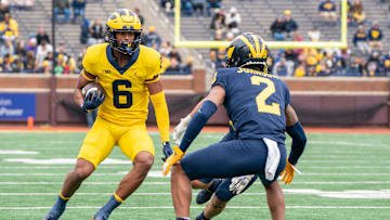 Michigan Spring Game