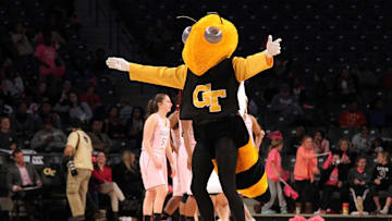 Feb 19, 2015; Atlanta, GA, USA; Georgia Tech Yellow Jackets mascot Buzz entertains the crowd against the Notre Dame Fighting Irish in the second half at McCamish Pavilion. Notre Dame defeated Georgia Tech 71-61. Mandatory Credit: Brett Davis-Imagn Images