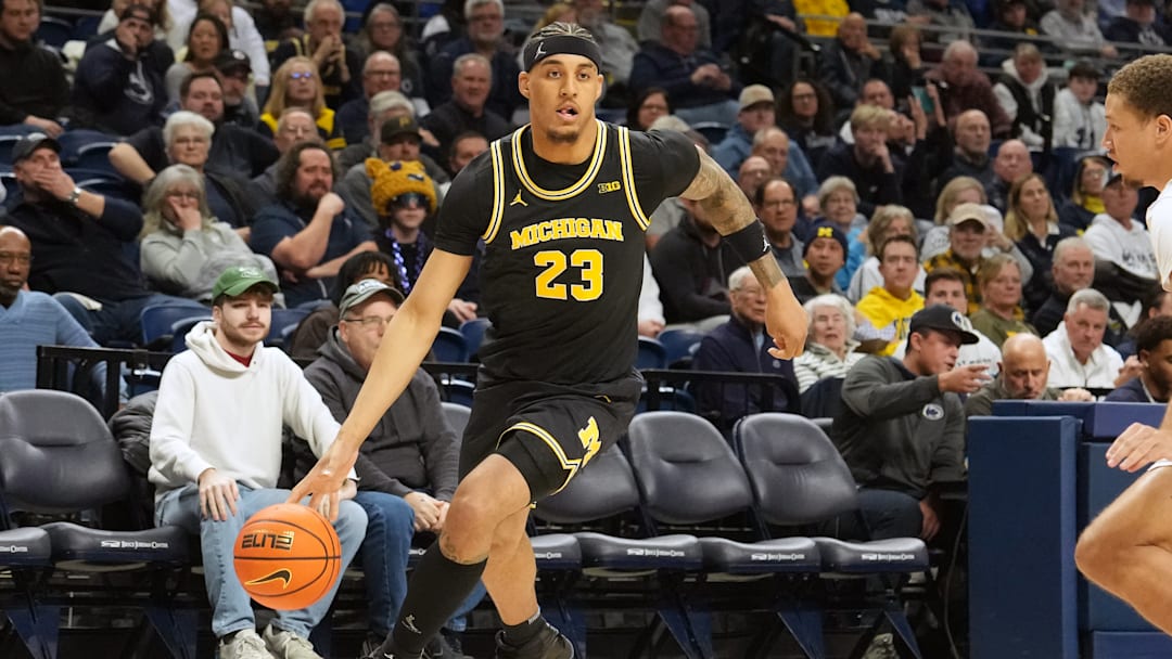 Michigan's Yaxel Lendeborg