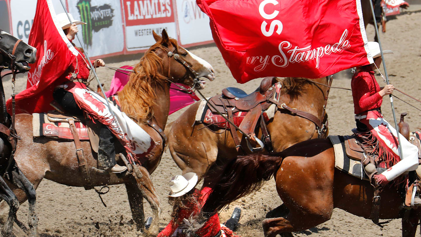 Calgary Stampede Enhances Animal Welfare with University Research Amid Ongoing Safety Concerns