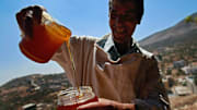 Bees Provide A Source Of Income For Unemployed Palestinian