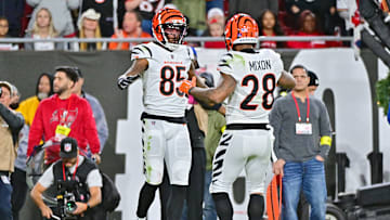Cincinnati Bengals v Tampa Bay Buccaneers