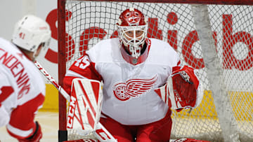 Detroit Red Wings v Toronto Maple Leafs