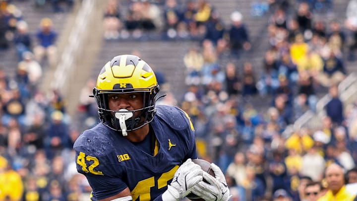 Michigan Maize vs Blue Spring Game