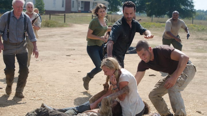 (L-R Back) Hershel Greene (Scott Wilson), Dale (Jeffrey DeMunn), Maggie Greene (Lauren Cohan), Rick Grimes (Andrew Lincoln), and T-Dog (Robert 'IronE' Singleton). (Front) Beth (Emily Kinney) and Shane Walsh (Jon Bernthal) - The Walking Dead season 2
