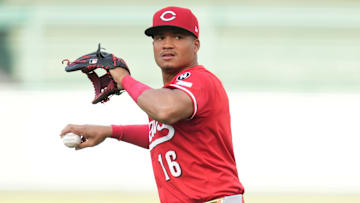 Cincinnati Reds outfielder Noelvi Marte