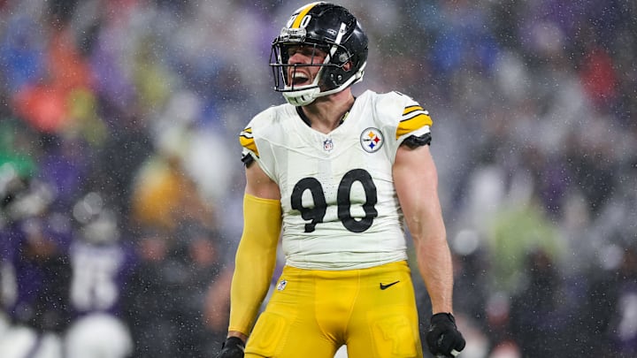 Pittsburgh Steelers v Baltimore Ravens