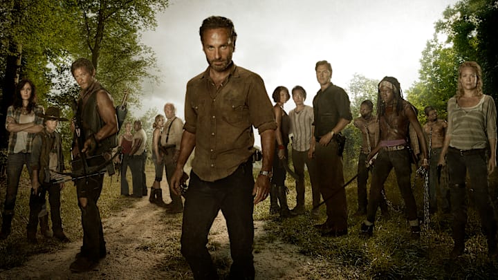 (L to R) Lori Grimes (Sarah Wayne Callies); Carl Grimes (Chandler Riggs); Daryl Dixon (Norman Reedus); Carol (Melissa Suzanne McBride); T-Dog (Robert 'IronE' Singleton); Beth Greene (Emily Kinney); Hershel Greene (Scott Wilson); Rick Grimes (Andrew Lincoln); Maggie Greene (Lauren Cohan); Glenn (Steven Yeun); The Governor (David Morrissey); Michonne (Danai Gurira) and Andrea (Laurie Holden) - The Walking Dead - Season 3, Gallery - Photo Credit: Frank Ockenfels/AMC