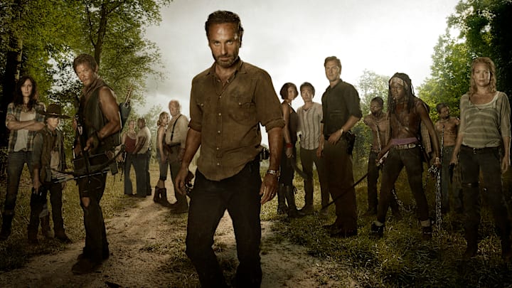 (L to R) Lori Grimes (Sarah Wayne Callies); Carl Grimes (Chandler Riggs); Daryl Dixon (Norman Reedus); Carol (Melissa Suzanne McBride); T-Dog (Robert 'IronE' Singleton); Beth Greene (Emily Kinney); Hershel Greene (Scott Wilson); Rick Grimes (Andrew Lincoln); Maggie Greene (Lauren Cohan); Glenn (Steven Yeun); The Governor (David Morrissey); Michonne (Danai Gurira) and Andrea (Laurie Holden) - The Walking Dead - Season 3, Gallery - Photo Credit: Frank Ockenfels/AMC