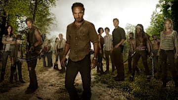 (L to R) Lori Grimes (Sarah Wayne Callies); Carl Grimes (Chandler Riggs); Daryl Dixon (Norman Reedus); Carol (Melissa Suzanne McBride); T-Dog (Robert 'IronE' Singleton); Beth Greene (Emily Kinney); Hershel Greene (Scott Wilson); Rick Grimes (Andrew Lincoln); Maggie Greene (Lauren Cohan); Glenn (Steven Yeun); The Governor (David Morrissey); Michonne (Danai Gurira) and Andrea (Laurie Holden) - The Walking Dead - Season 3, Gallery - Photo Credit: Frank Ockenfels/AMC