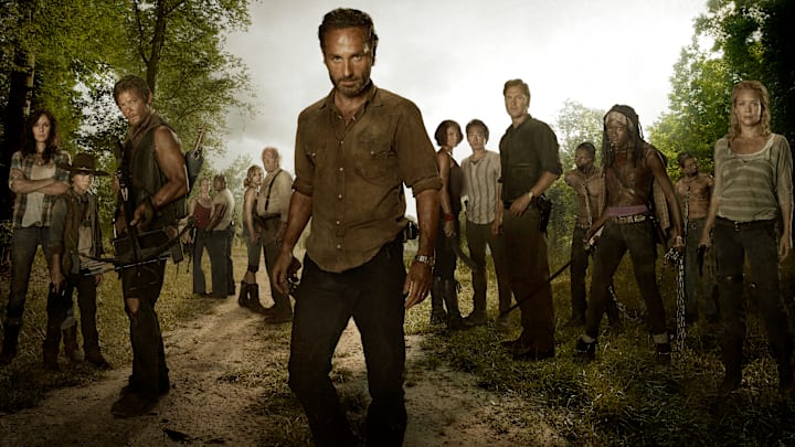 (L to R) Lori Grimes (Sarah Wayne Callies); Carl Grimes (Chandler Riggs); Daryl Dixon (Norman Reedus); Carol (Melissa Suzanne McBride); T-Dog (Robert 'IronE' Singleton); Beth Greene (Emily Kinney); Hershel Greene (Scott Wilson); Rick Grimes (Andrew Lincoln); Maggie Greene (Lauren Cohan); Glenn (Steven Yeun); The Governor (David Morrissey); Michonne (Danai Gurira) and Andrea (Laurie Holden) - The Walking Dead season 3