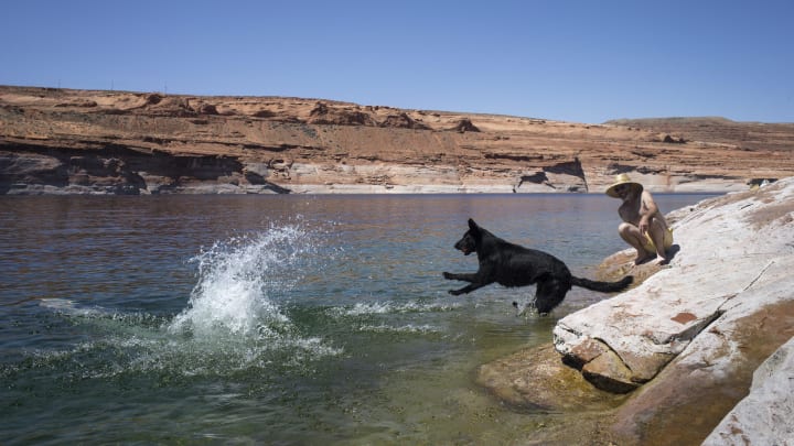 Kathleen Weldon (left) dives into Lake Powell at the Chains recreation area of Glen Canyon National Recreation Area in Page, Arizona, on April 11, 2018. Looking on is Vincent Dow (right) and chasing Weldon is their dog, Leida.