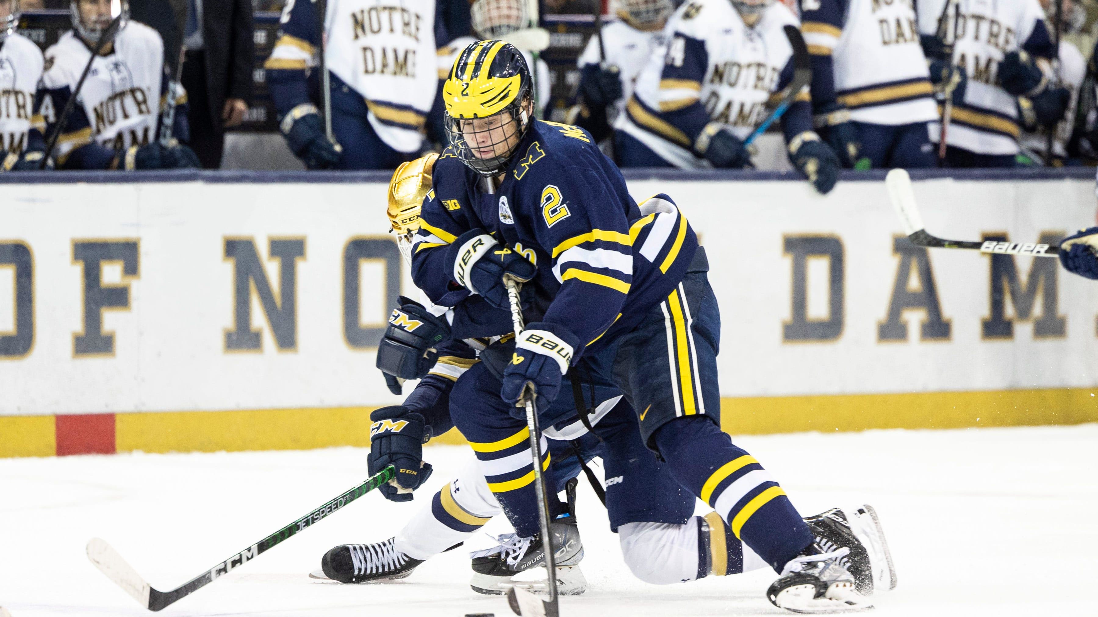 魯特格麥格羅蒂 (Rutger McGroarty) 被 NHL.com 評為考爾德杯最受歡迎球員