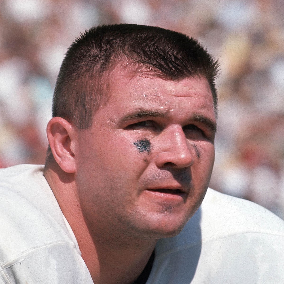 【ヴィンテージ】シカゴ・ベアーズ MIKE DITKA 少シリ 直筆サインカード Chicago Bears 1963 Season Sports Trading Cards & Accessories