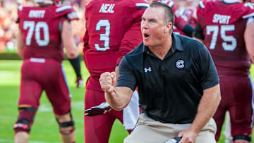 Shawn Elliott, the new South Carolina football tight ends coach/run game coordinator