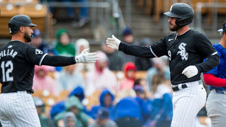 Chicago Cubs v Chicago White Sox