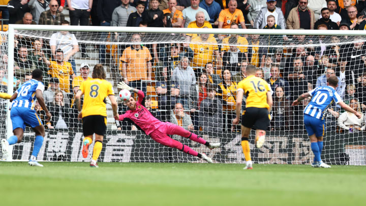 Wolves have lost just one of their last seven matches against Brighton