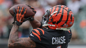 Pittsburgh Steelers v Cincinnati Bengals