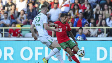 Portugal v Republic of Ireland - International Friendly