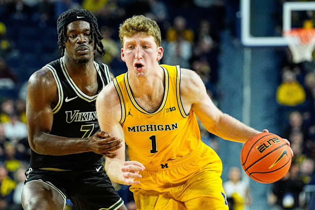 Michigan Wolverines men's basketball forward Danny Wol