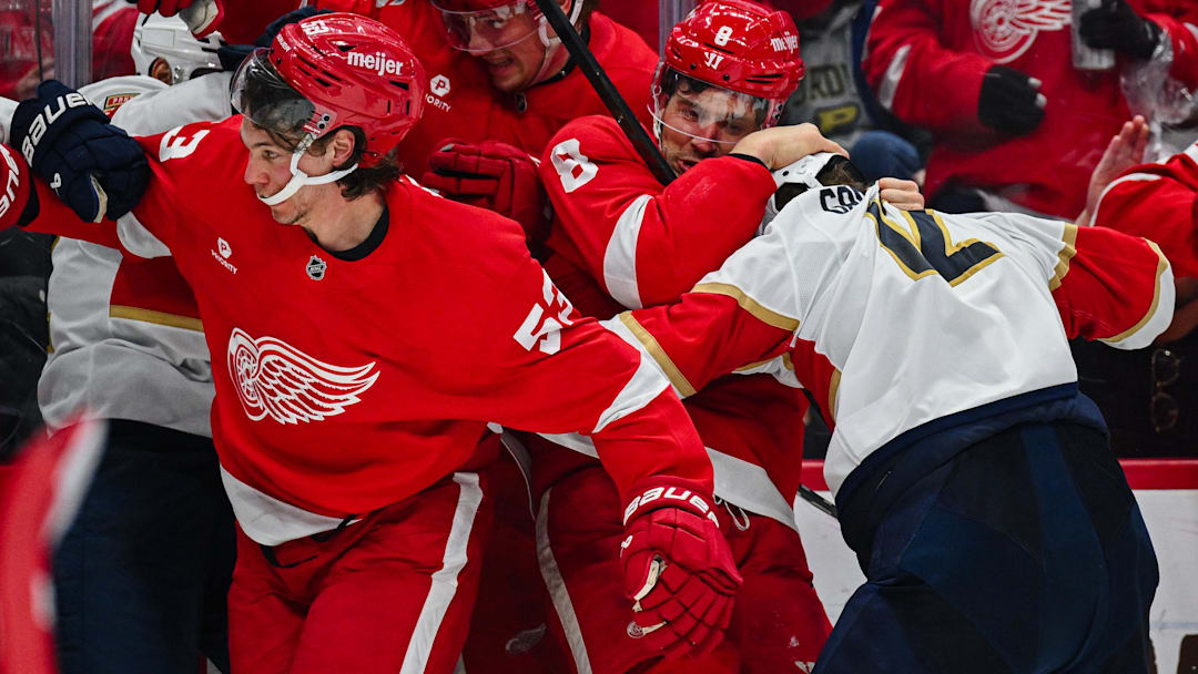 Apr 6, 2025; Detroit, Michigan, USA; Detroit Red Wings defenseman Ben Chiarot (8) and Florida Panthers left wing Jonah Gadjovich (12) fight during the third period at Little Caesars Arena. Mandatory Credit: Tim Fuller-Imagn Images
