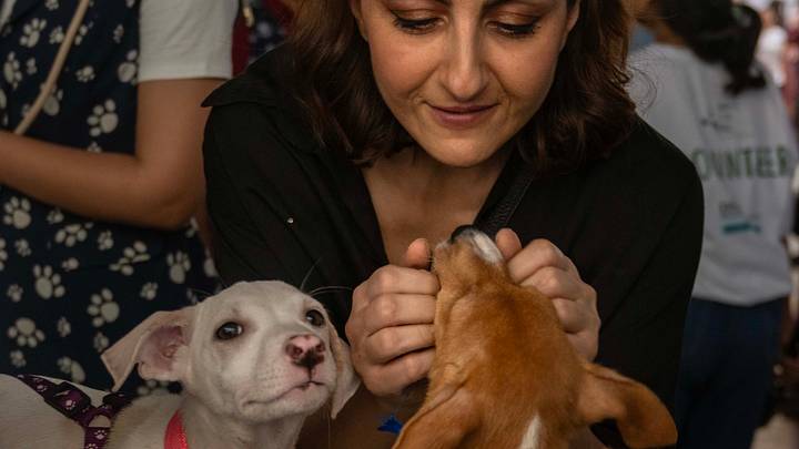 People Take Part In Animal Adoption Event "Adoptathon 2025" At St. Theresa Boys High School In People Take Part In Animal Adoption Event "Adoptathon 2025" At St. Theresa Boys High School In