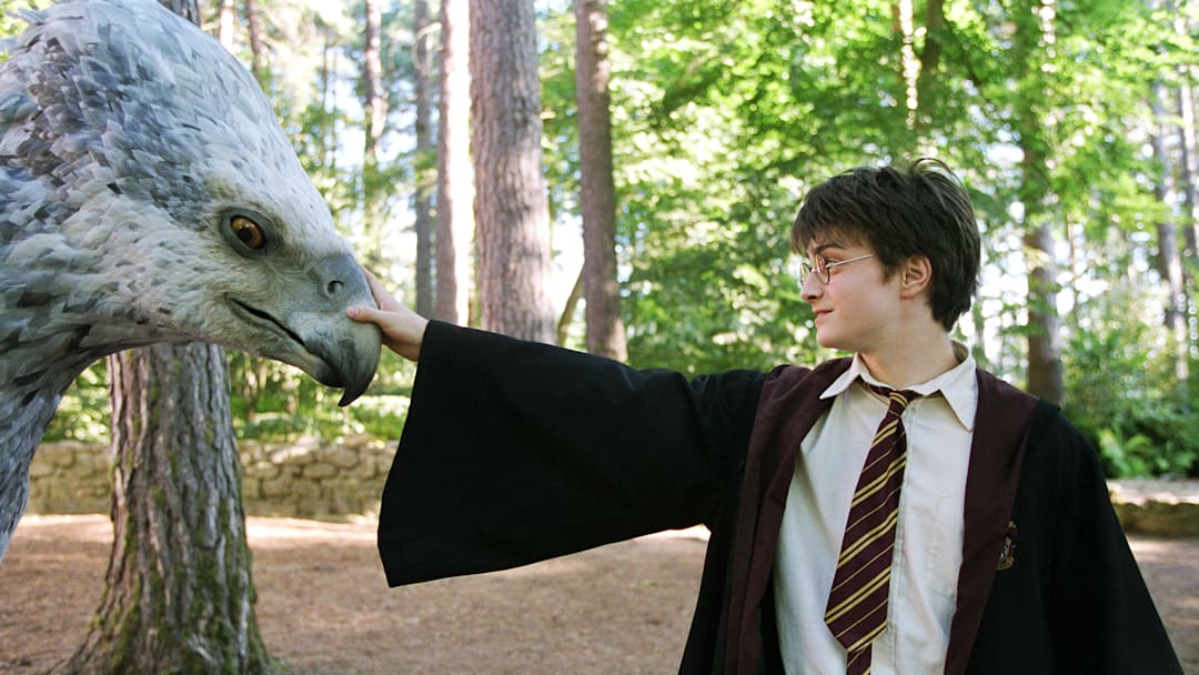 Daniel Radcliffe as Harry Potter in Harry Potter and the Prisoner of Azkaban. (Courtesy of Fathom Entertainment)