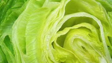 Crunchy. Leafy. Exploding with flavor. (Just kidding.)