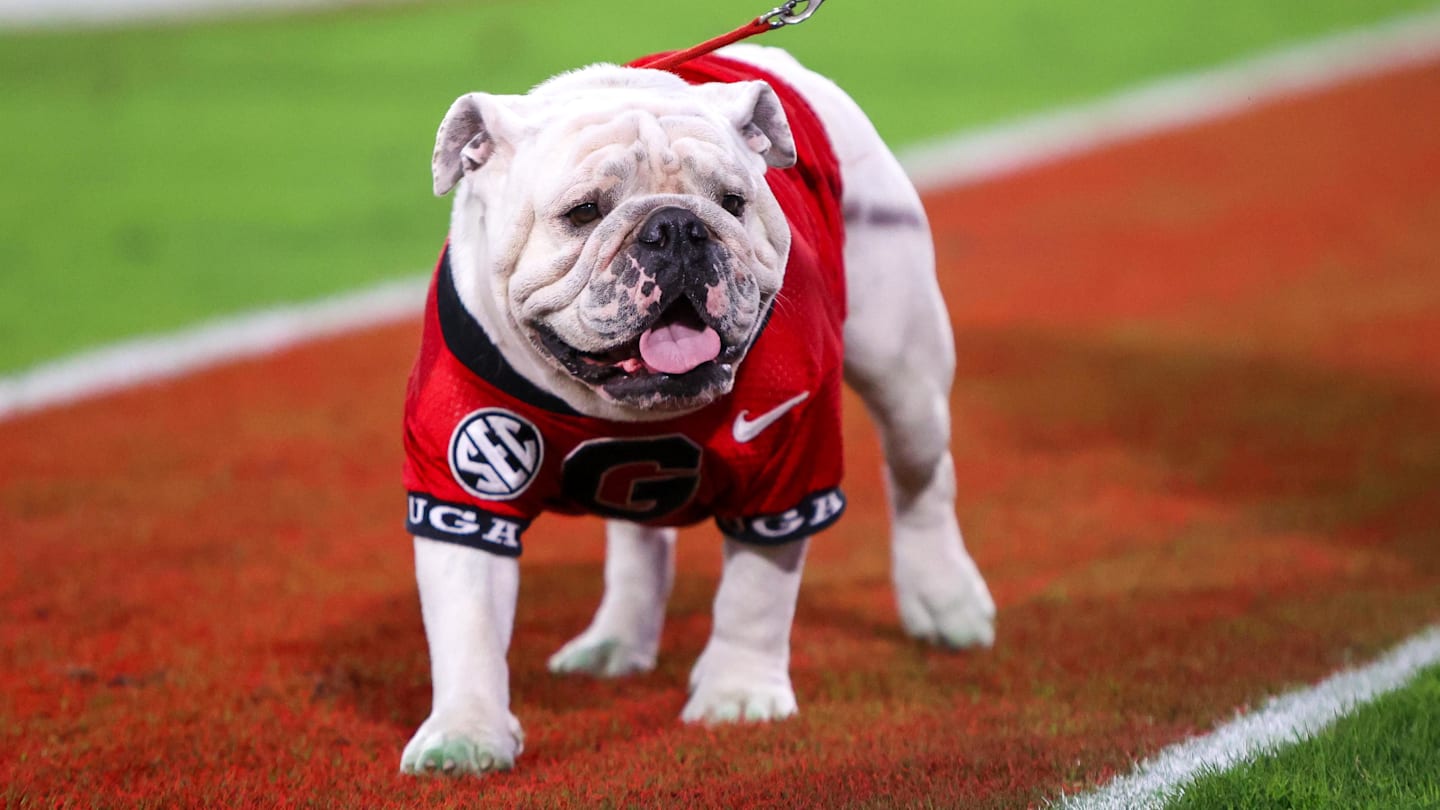2025 Mississippi State football opponent preview: Georgia