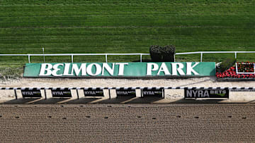 150th Belmont Stakes - Previews
