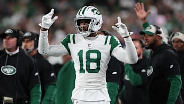 NY Jets wide receiver Mike Williams