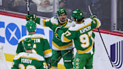 The Minnesota Wild are one of the hottest teams in the NHL.