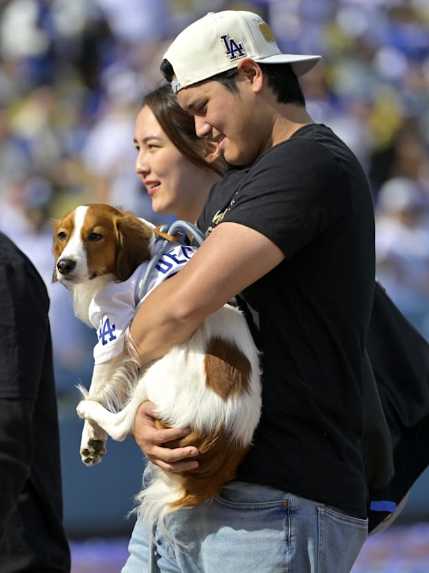 Ohtani, Mamiko Tanaka, Decoy