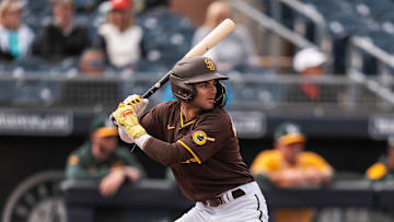 2025 MLB Spring Breakout