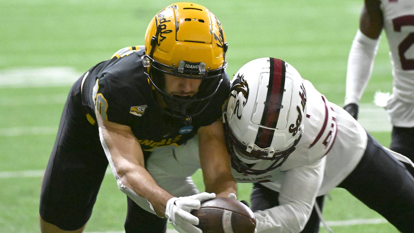 Seattle Seahawks 90-Man Roundup: Could Hayden Hatten Become the Next Jake Bobo? - Vimarsana News