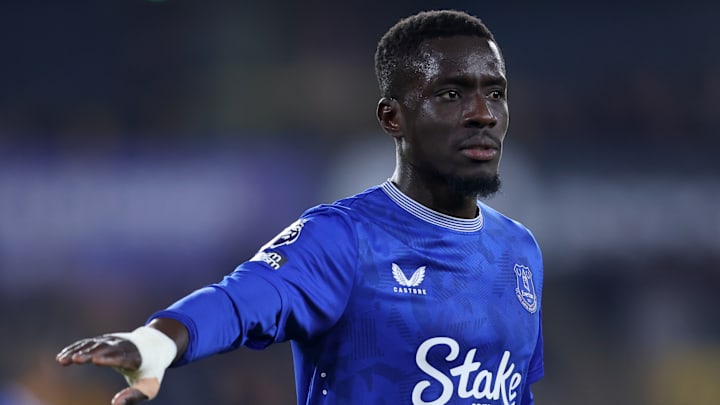 Wolverhampton Wanderers FC v Everton FC - Premier League