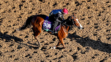 Minnie Hauk, trained by Aidan P. O'Brien, exercises in preparation for the Longines Breeders' Cup Turf at Del Mar Thoroughbred Club in Del Mar, California on October 29, 2025. 